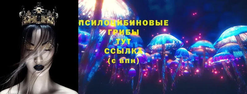 Галлюциногенные грибы Magic Shrooms  blacksprut маркетплейс  Липки 